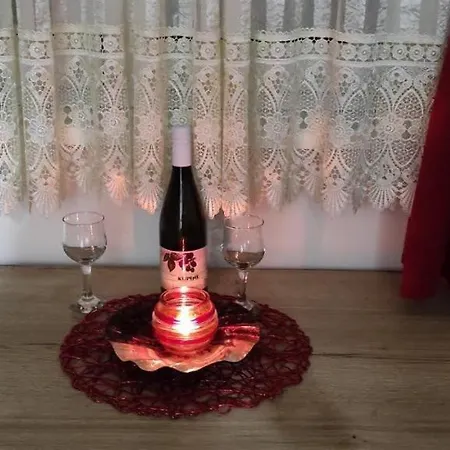 Apartament Stan Na Dan Sinisa 2 *