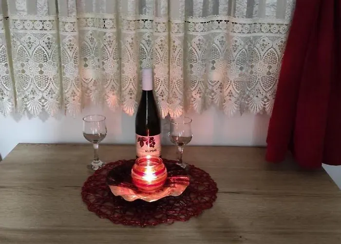 Apartament Stan Na Dan Sinisa 2 *