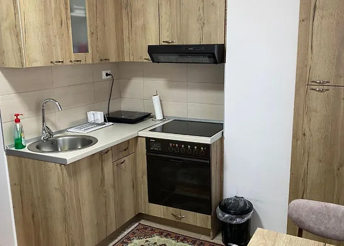 Stan Na Dan Sinisa 2 Apartament *