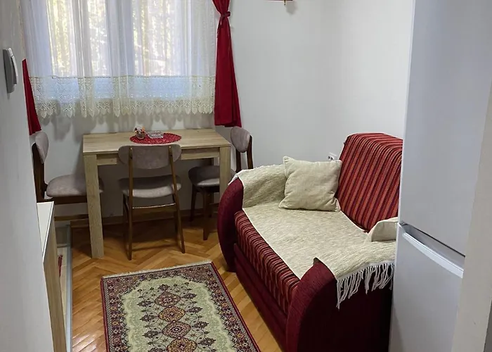 Stan Na Dan Sinisa 2